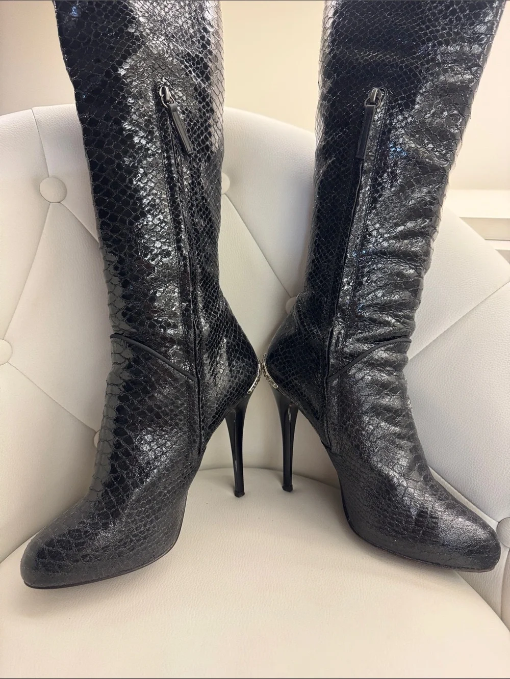 Giuseppe Zanotti bold over